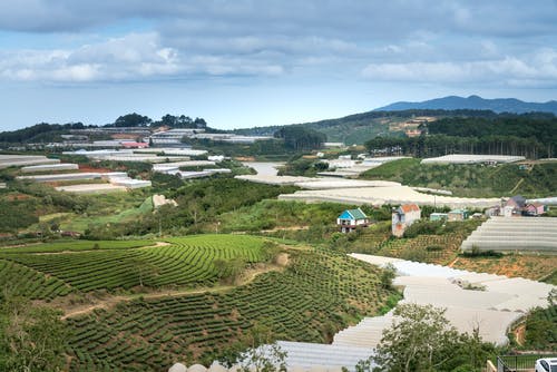 绿地 · 免费素材图片