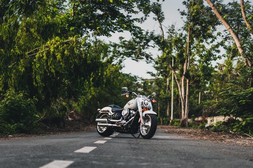 白色哈雷戴维森胖子巡洋舰摩托车停在树间道路中间的照片 · 免费素材图片