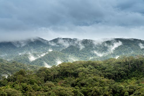 蓝蓝的天空下的树木覆盖的山 · 免费素材图片