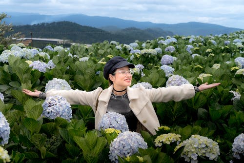 戴着黑帽子，白色外套和眼镜站在绣球花花田中，闭着眼睛，伸出的双手微笑的女人的照片 · 免费素材图片