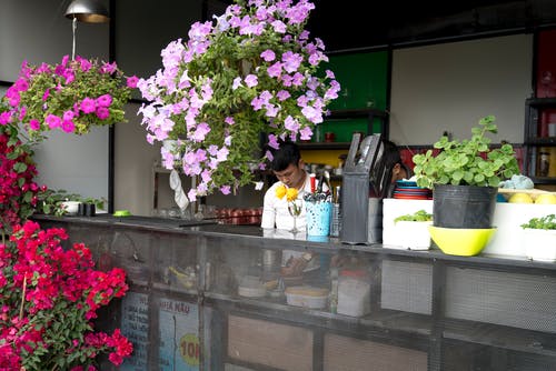 什锦花 · 免费素材图片