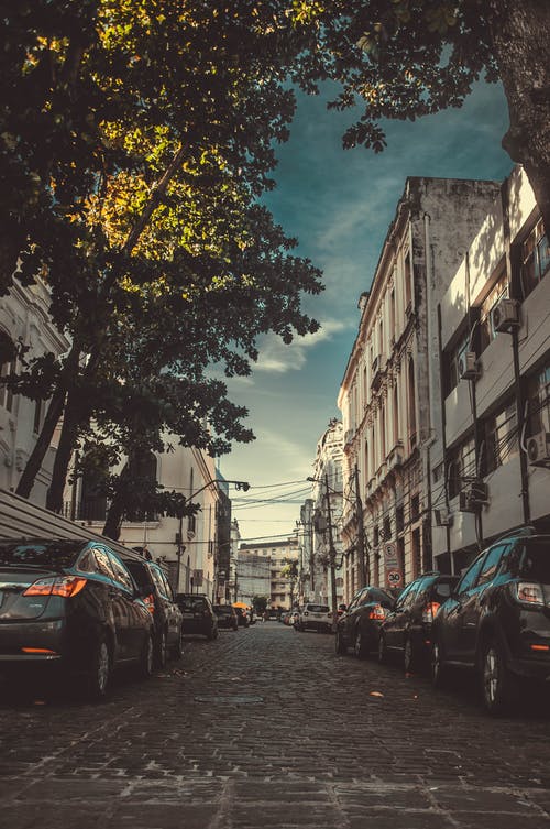 停在建筑物和树木附近的车辆照片 · 免费素材图片