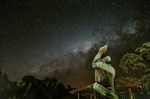 蛇在日志 · 免费素材图片