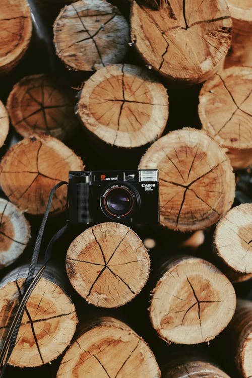佳能相机在木原木上的照片 · 免费素材图片