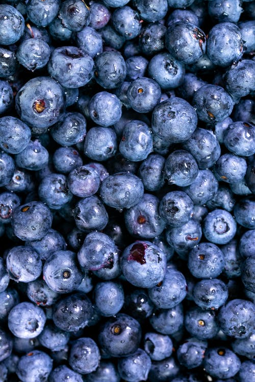 蓝莓的特写照片 · 免费素材图片