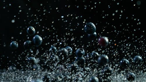 蓝莓在黑色背景下的特写照片 · 免费素材图片