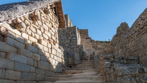 混凝土建筑 · 免费素材图片