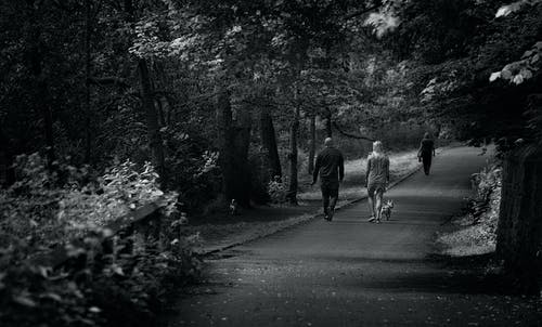 在公园散步的人的单色摄影 · 免费素材图片
