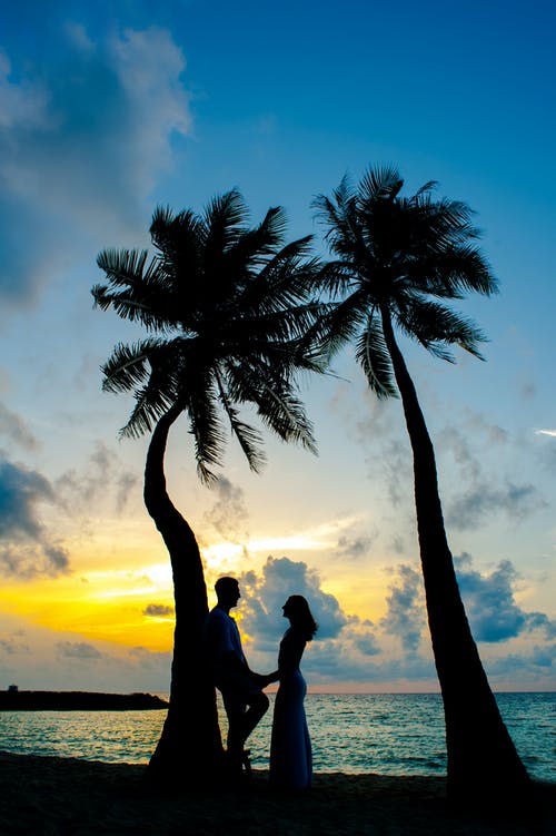 男人和女人在椰子树附近 · 免费素材图片