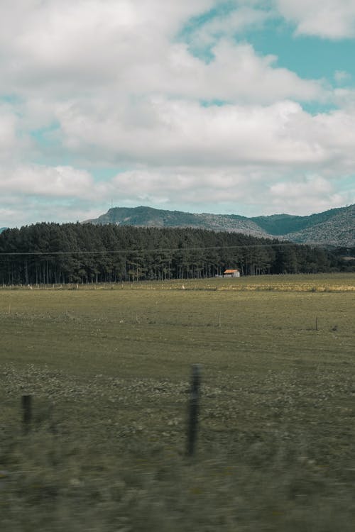 绿地 · 免费素材图片