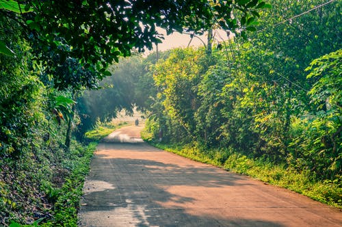 树木环绕的道路照片 · 免费素材图片