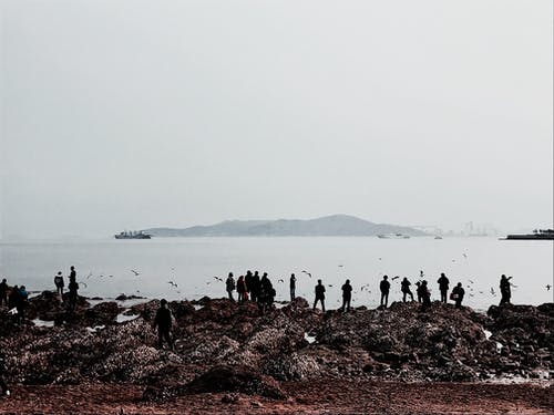 有关不露面, 休息, 假日的免费素材图片