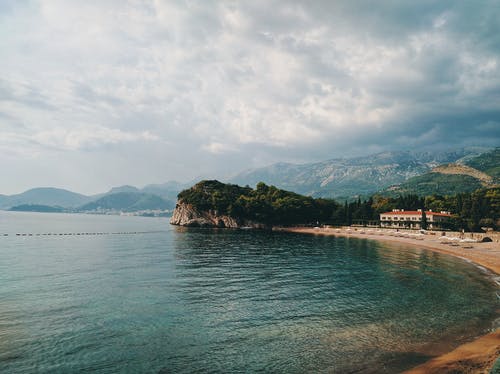 水体附近的绿树 · 免费素材图片