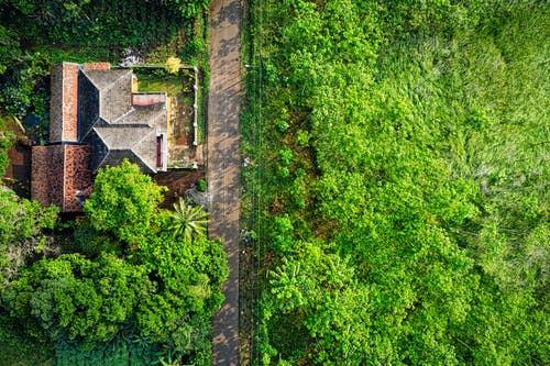 绿树成荫的树木包围的棕色房子的鸟瞰图 · 免费素材图片