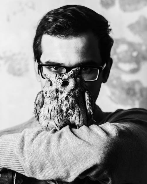 猫头鹰在人的手臂上的灰度摄影 · 免费素材图片
