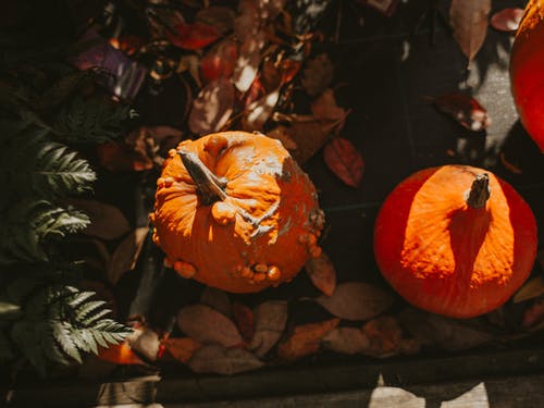 两个橙色南瓜 · 免费素材图片