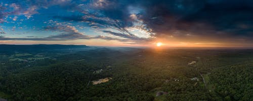 绿森林鸟瞰图 · 免费素材图片