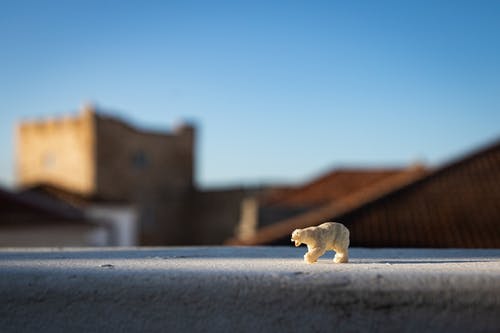选择性聚焦摄影中的北极熊微型玩具 · 免费素材图片