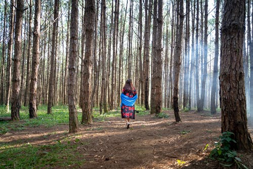 在森林里散步的女人 · 免费素材图片