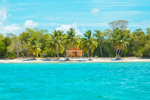 椰子树附近的海滩上的木屋的照片 · 免费素材图片
