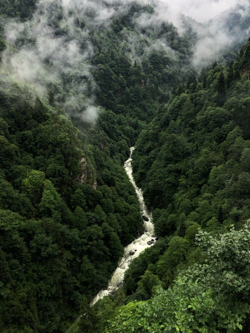 绿山之间的河鸟瞰图 · 免费素材图片