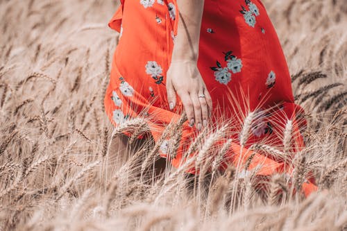 红色和白色的花裙子，麦田里的女人 · 免费素材图片