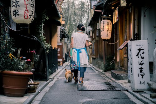 穿白裙的女人和她的狗在小巷里散步的背影照片 · 免费素材图片
