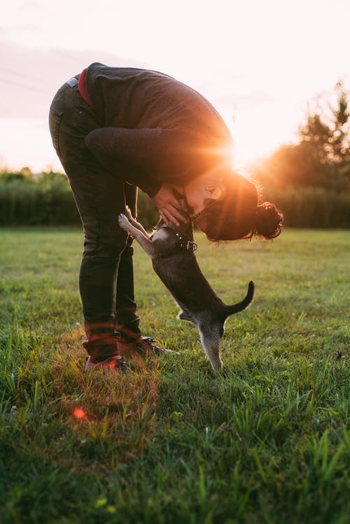 在草地上亲吻狗的人的照片 · 免费素材图片