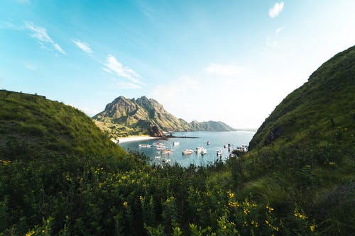 水体附近的绿山 · 免费素材图片