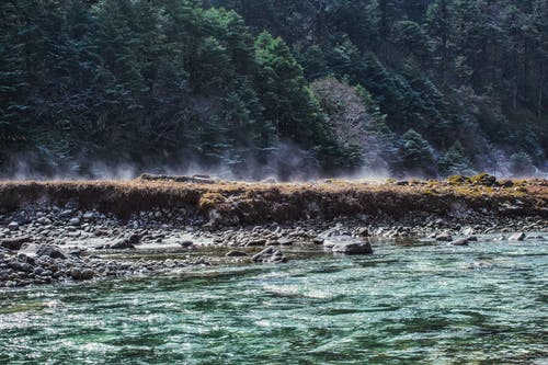 日间水陆 · 免费素材图片