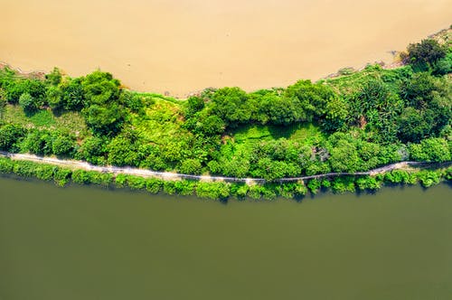 水体附近的绿树的顶视图照片 · 免费素材图片