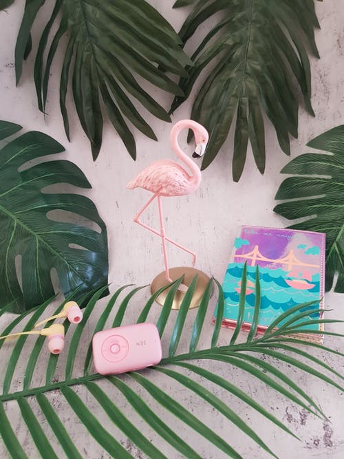 粉红火烈鸟餐桌装饰 · 免费素材图片