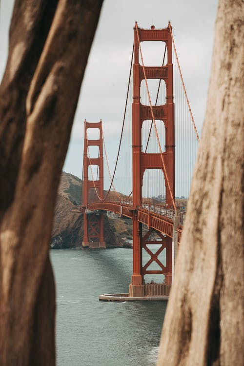 棕色金属桥的选择性聚焦摄影 · 免费素材图片