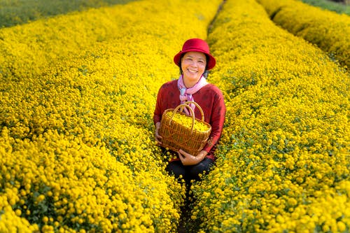 站在花田上的女人的照片 · 免费素材图片
