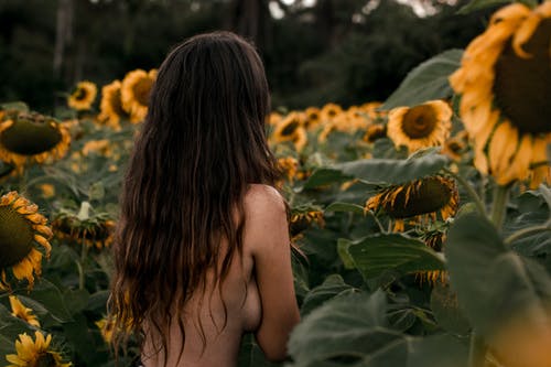 向日葵附近的裸照女人照片 · 免费素材图片