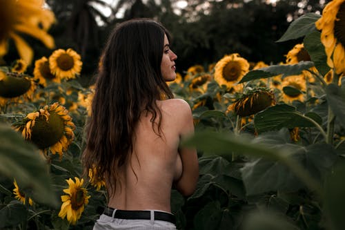 向日葵包围的光着膀子女人 · 免费素材图片