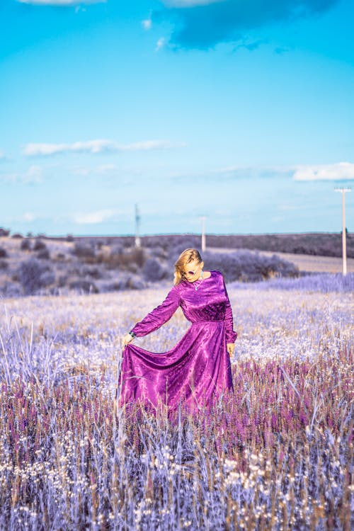 女士紫色长裙 · 免费素材图片