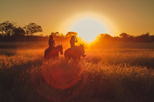 两人骑着马的剪影照片 · 免费素材图片