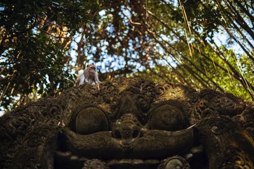 灰色雕像截图 · 免费素材图片