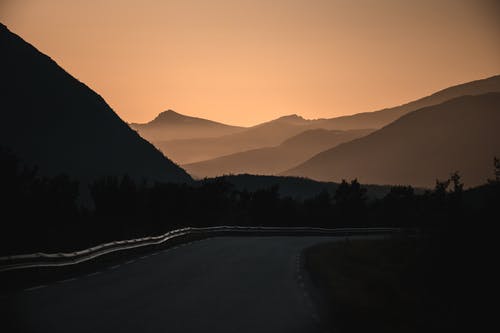 树木附近路的照片 · 免费素材图片