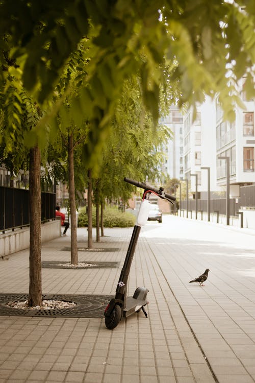 黑色电动滑板车停在人行道上 · 免费素材图片