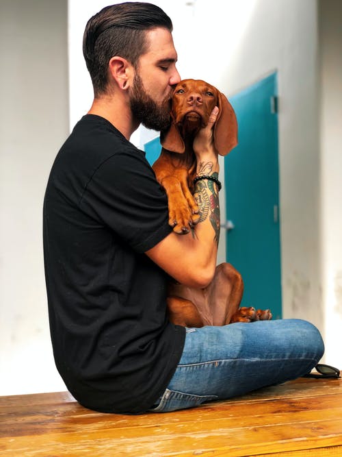 男人亲吻他的狗的照片 · 免费素材图片