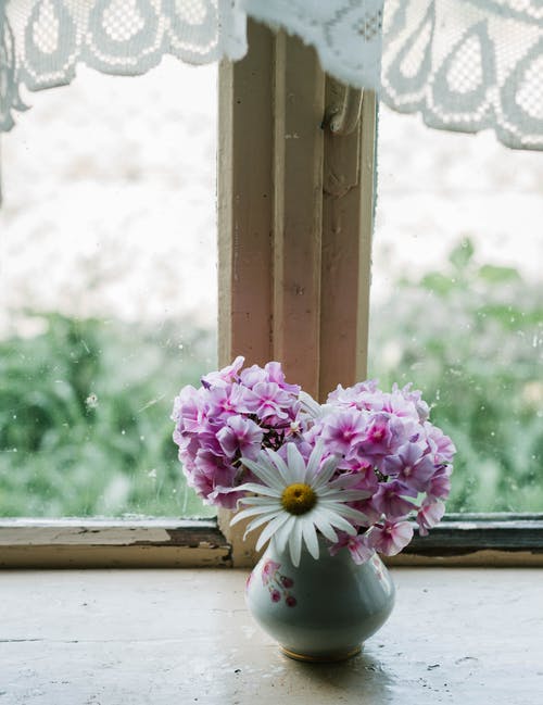 靠近窗户的花朵的照片 · 免费素材图片