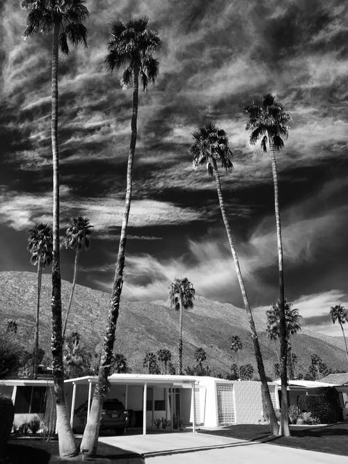 建筑物的灰度照片 · 免费素材图片