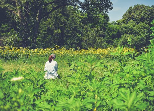 女人站在草地上 · 免费素材图片