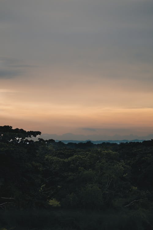 有关冷静, 土地, 垂直拍摄的免费素材图片