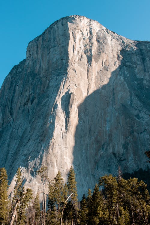 灰山下的绿树 · 免费素材图片