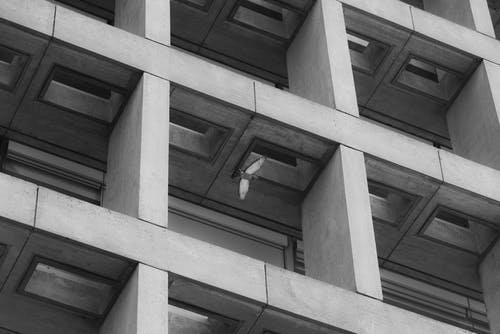 混凝土建筑的灰度摄影 · 免费素材图片
