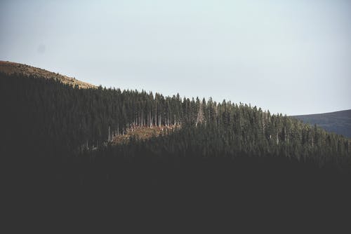 白天山的鸟瞰图 · 免费素材图片