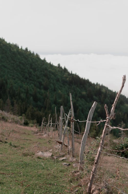 白天木栅栏的照片 · 免费素材图片